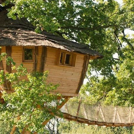 Cabane Perchee Dans Les Arbres Saint-Hilaire-en-Morvan ภายนอก รูปภาพ