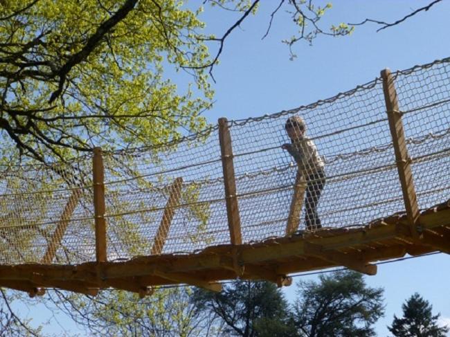 Cabane Perchee Dans Les Arbres Saint-Hilaire-en-Morvan ภายนอก รูปภาพ