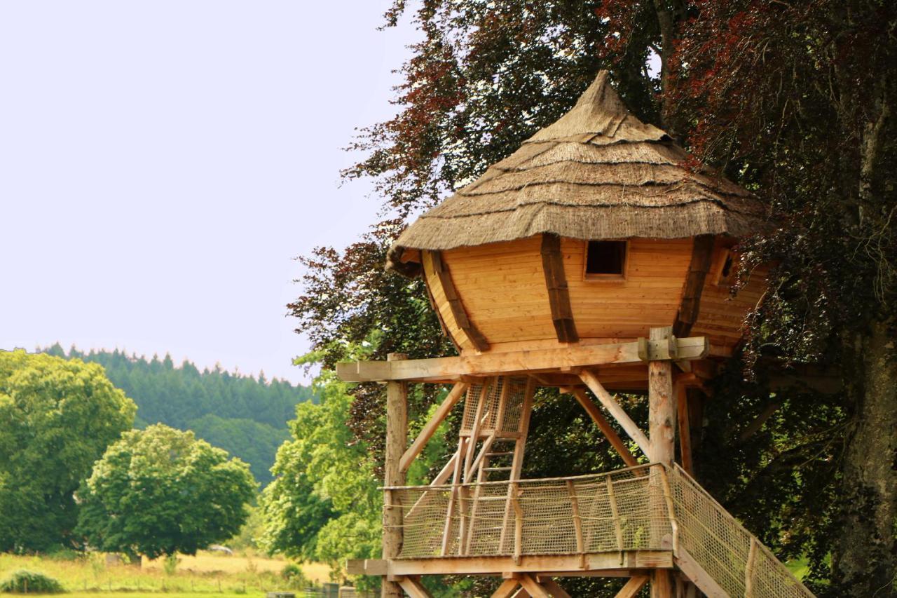 Cabane Perchee Dans Les Arbres Saint-Hilaire-en-Morvan ภายนอก รูปภาพ