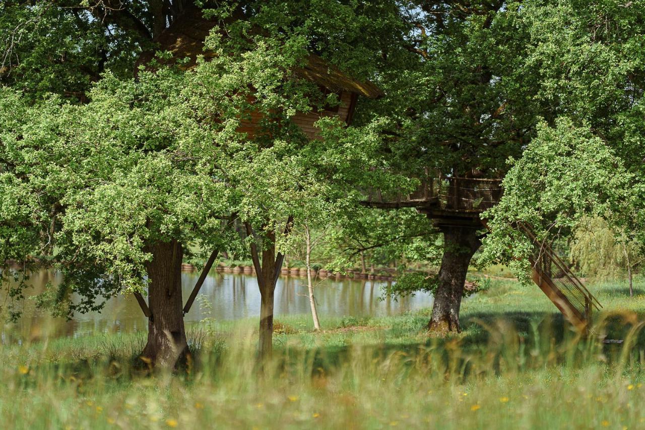 Cabane Perchee Dans Les Arbres Saint-Hilaire-en-Morvan ภายนอก รูปภาพ