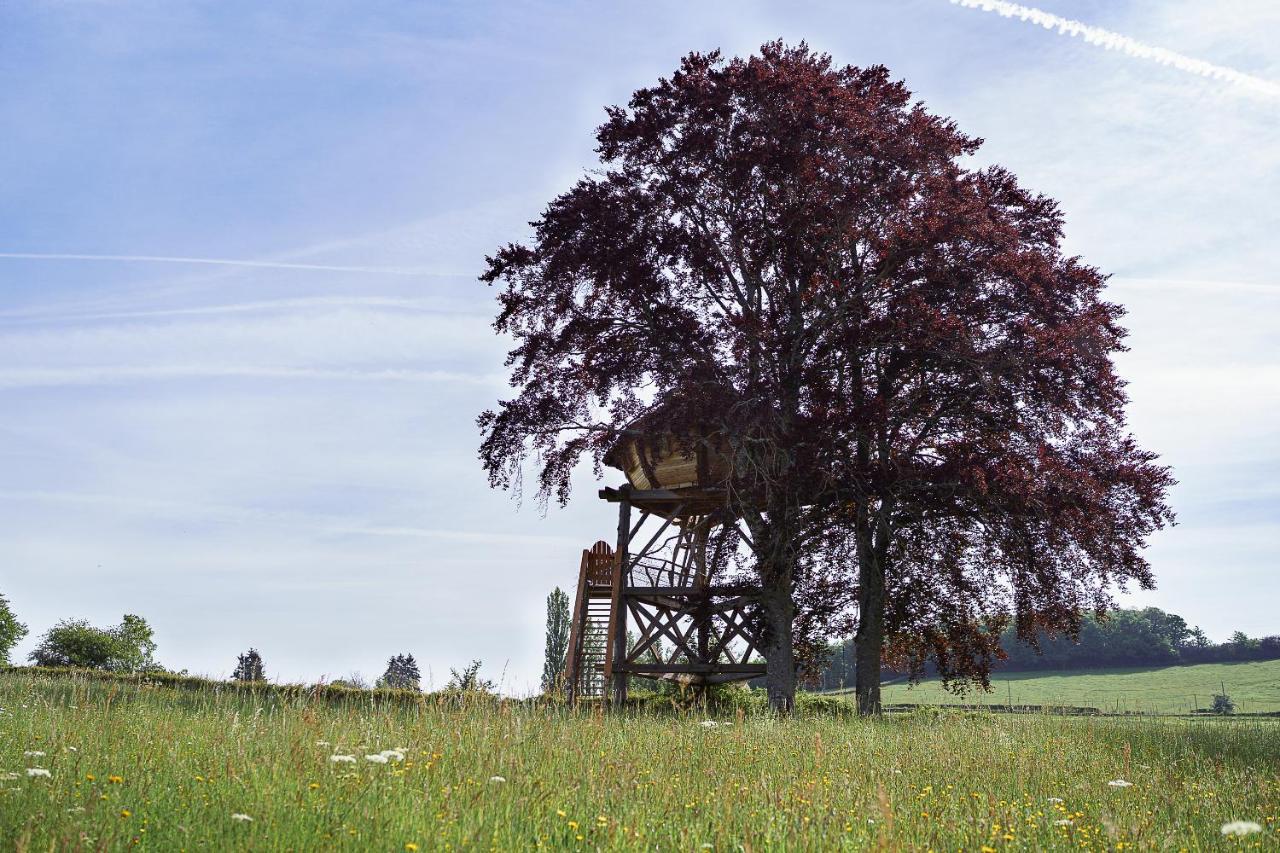 Cabane Perchee Dans Les Arbres Saint-Hilaire-en-Morvan ภายนอก รูปภาพ