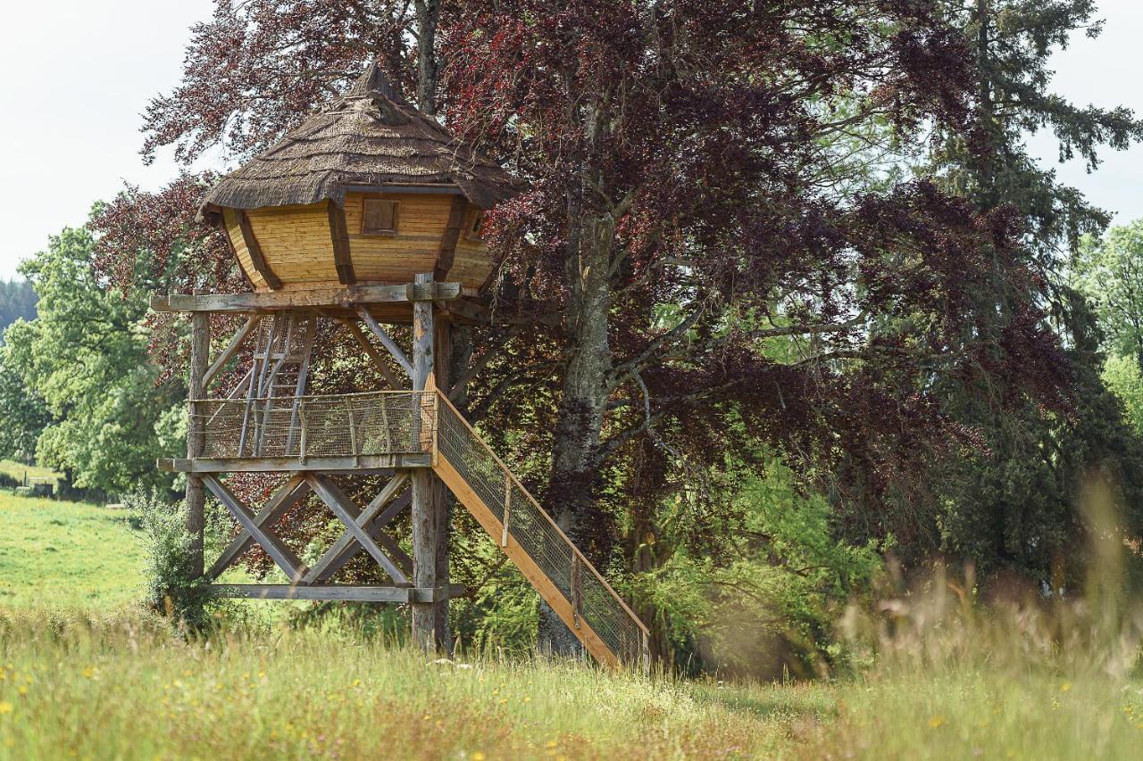 Cabane Perchee Dans Les Arbres Saint-Hilaire-en-Morvan ภายนอก รูปภาพ