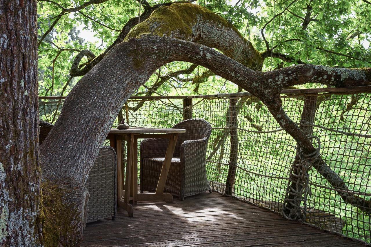 Cabane Perchee Dans Les Arbres Saint-Hilaire-en-Morvan ภายนอก รูปภาพ