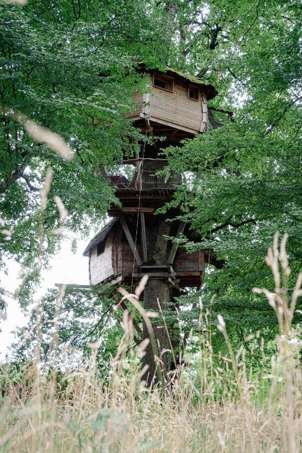 Cabane Perchee Dans Les Arbres Saint-Hilaire-en-Morvan ภายนอก รูปภาพ