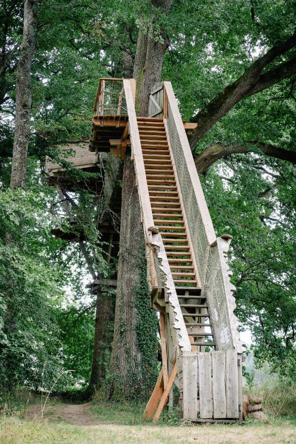 Cabane Perchee Dans Les Arbres Saint-Hilaire-en-Morvan ภายนอก รูปภาพ
