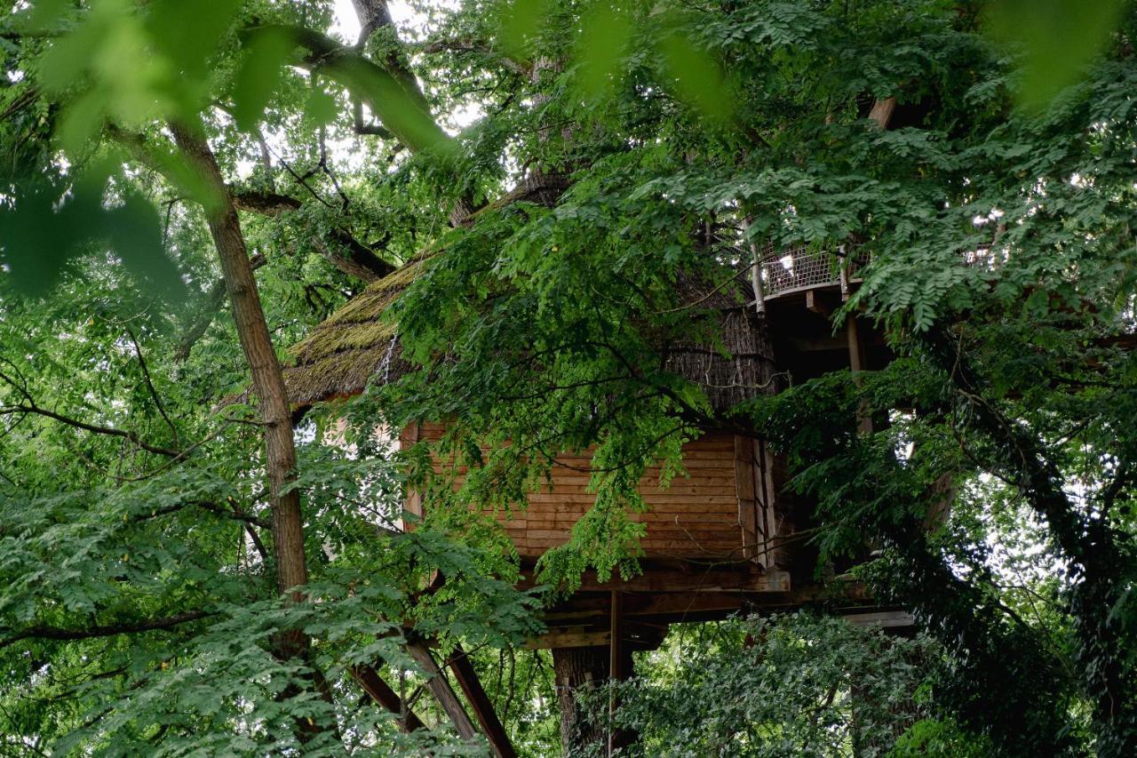 Cabane Perchee Dans Les Arbres Saint-Hilaire-en-Morvan ภายนอก รูปภาพ