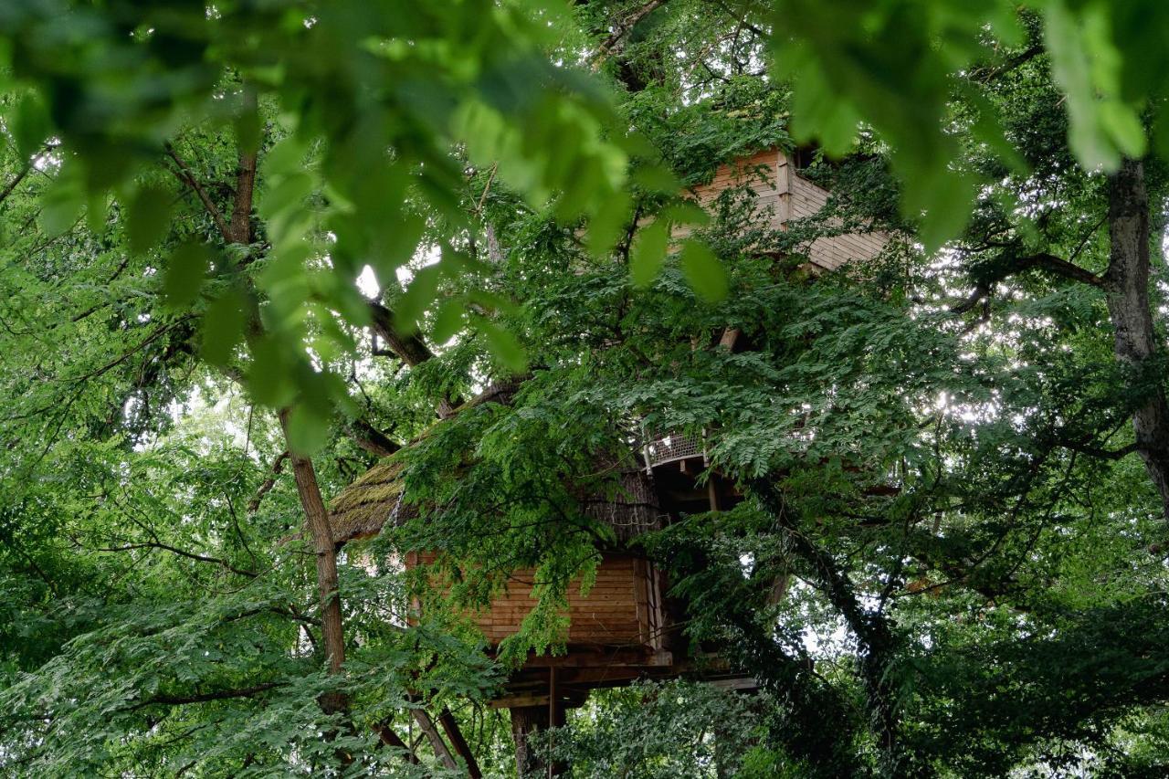 Cabane Perchee Dans Les Arbres Saint-Hilaire-en-Morvan ภายนอก รูปภาพ